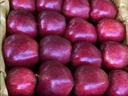 تصویر 1 از سیب ارگانیک سالم بدون مواد شیمیایی و با طعم طبیعی